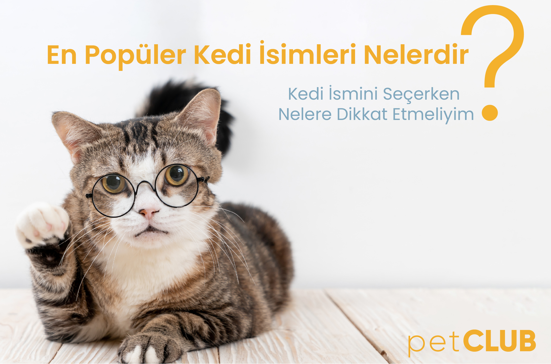 kediismi