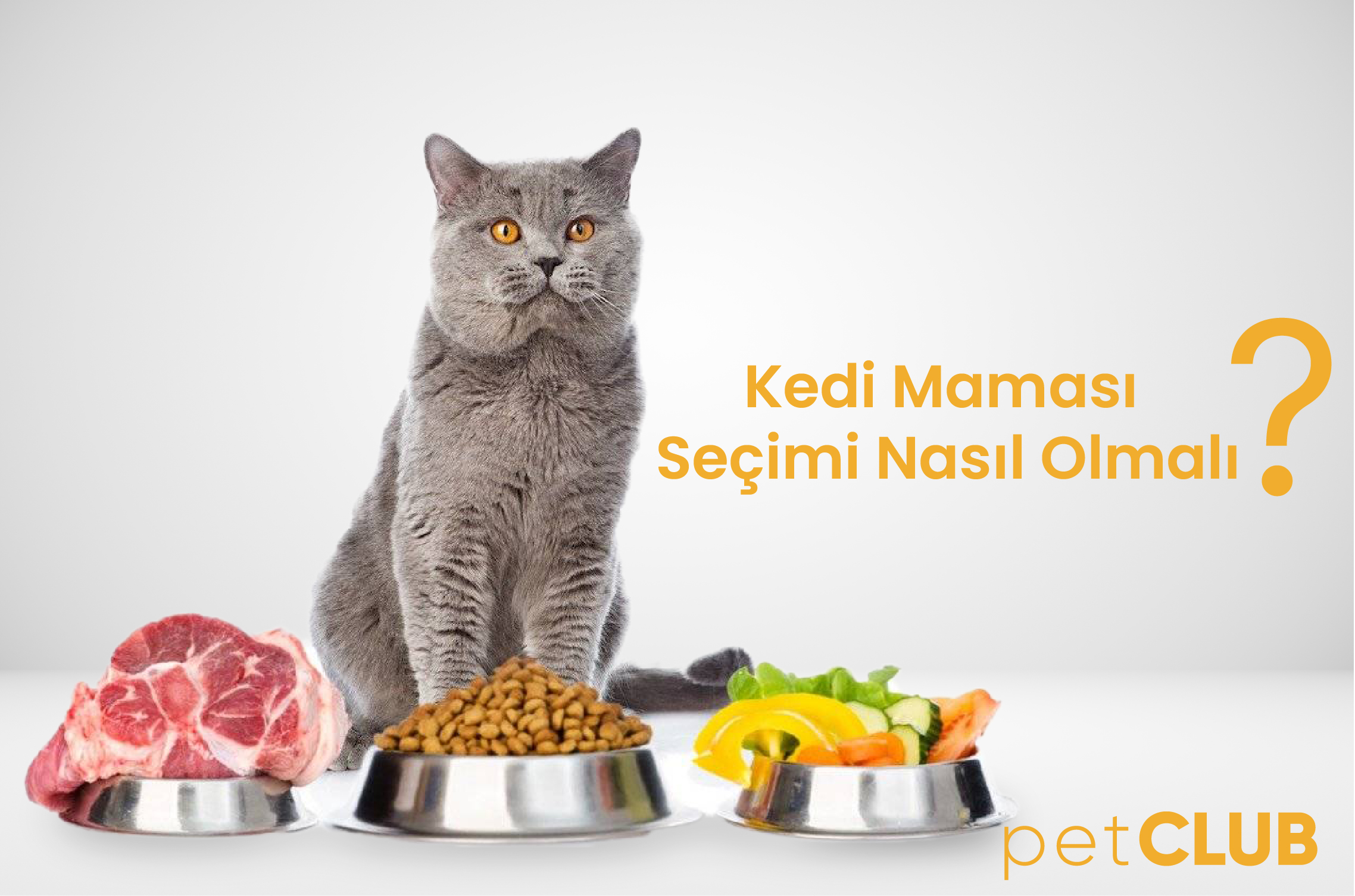 kedimamasi
