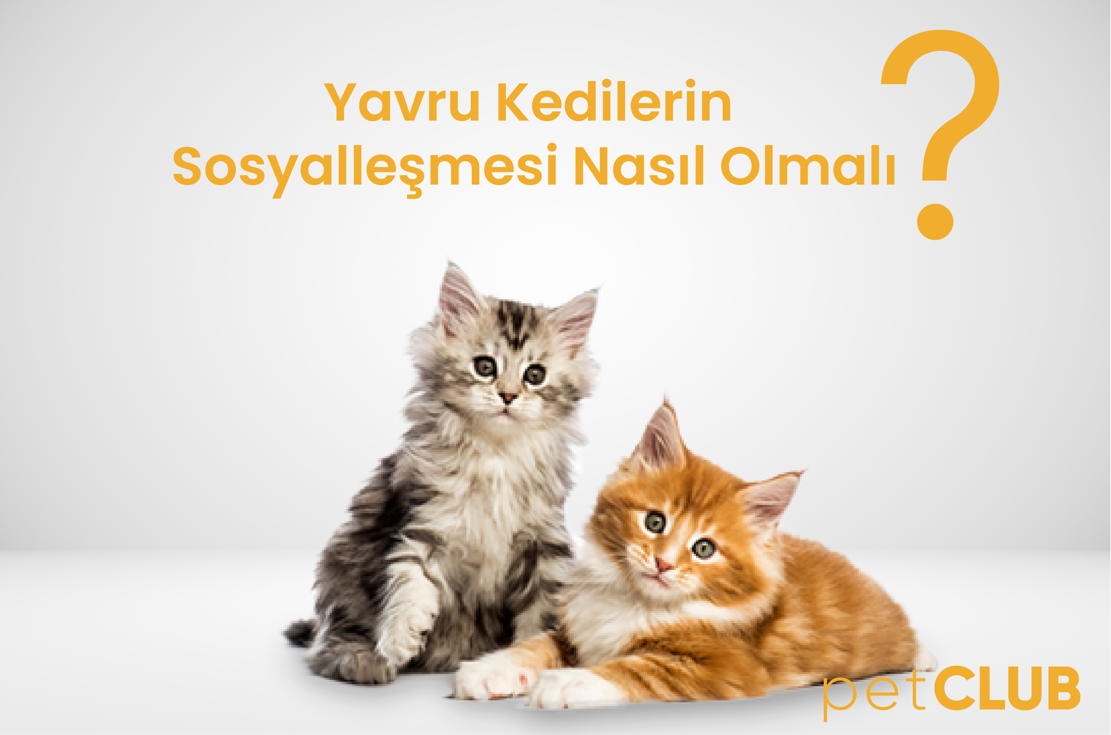 yavrukedi