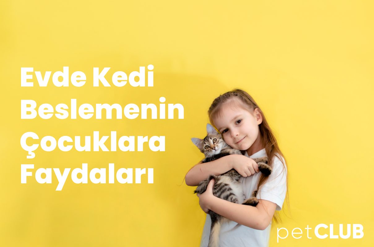 kedivecocuk